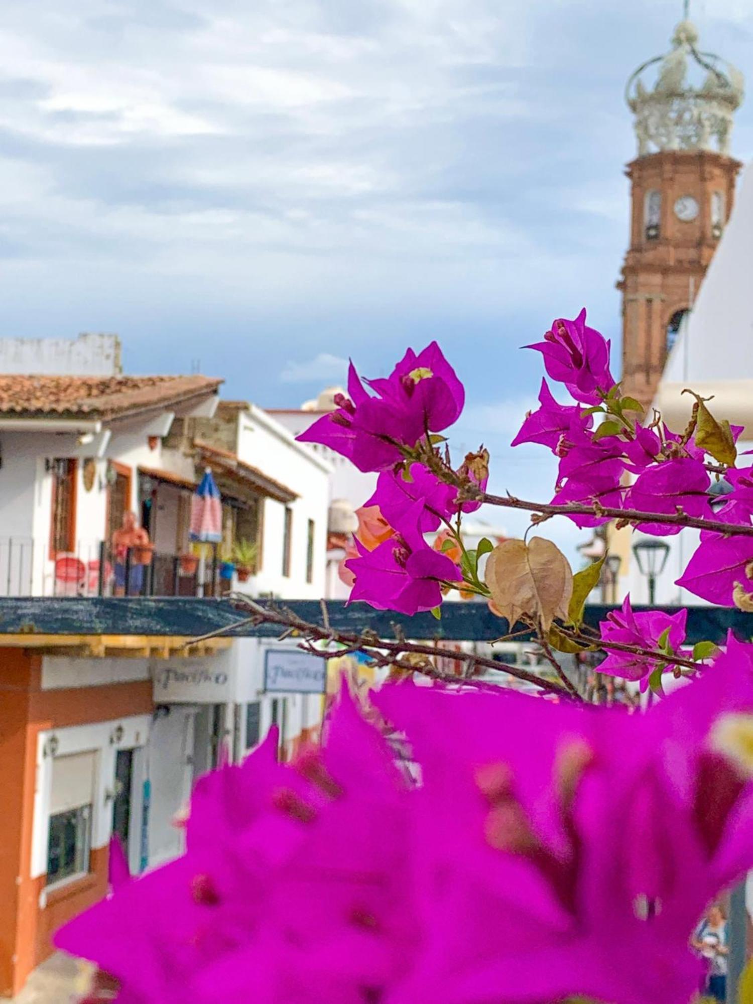 Casa Frida Gaylodging Puerto Vallarta Kültér fotó